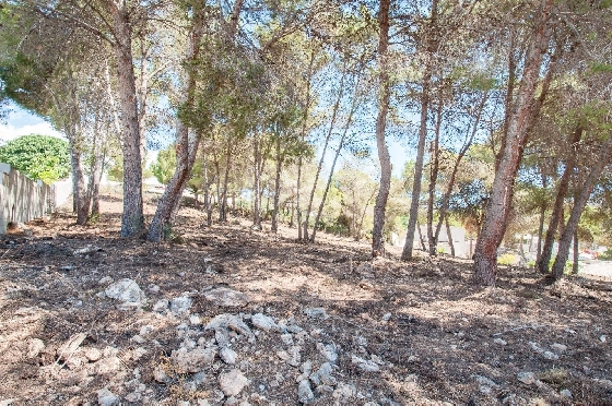 Wohngrundstück in Moraira zu verkaufen, Klimaanlage, Grondstuk 2177 m², Pool, ref.: AM-12200DA-5