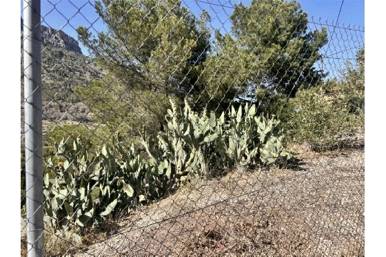 Wohngrundstück in Calpe zu verkaufen, Grondstuk 1186 m², ref.: AS-1925-5