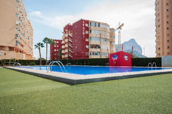 Apartment in Calpe(Playa de Fossa Levante) zu verkaufen, Woongedeelte 55 m², Klimaanlage, 1 Slaapkamers, 1 Badkamers, Pool, ref.: COB-3554-10535-3