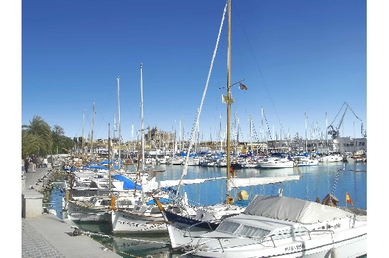 Apartment in Palma De Mallorca(Palma centre) zu verkaufen, Woongedeelte 82 m², Grondstuk 88 m², 2 Slaapkamers, 2 Badkamers, ref.: TW-6-PALMA-25