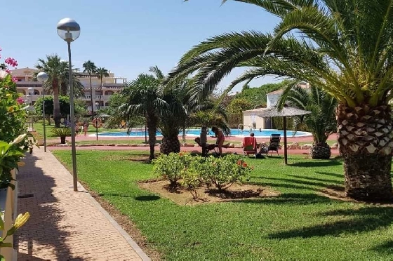 Apartment in Denia zu verkaufen, 2 Slaapkamers, 2 Badkamers, Pool, ref.: PT-26001-2