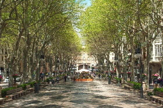 Apartment in Palma De Mallorca zu verkaufen, Woongedeelte 105 m², Grondstuk 114 m², 3 Slaapkamers, 2 Badkamers, ref.: TW-COR-39,-PALMA-20