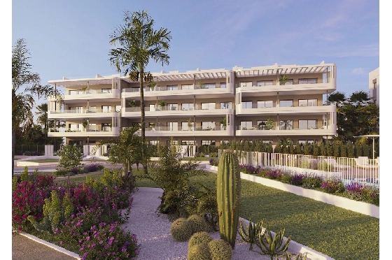 Penthouse Apartment in Torrevieja zu verkaufen, Woongedeelte 156 m², Zustand Erstbezug, 2 Slaapkamers, 2 Badkamers, Pool, ref.: HA-TON-290-A03-3