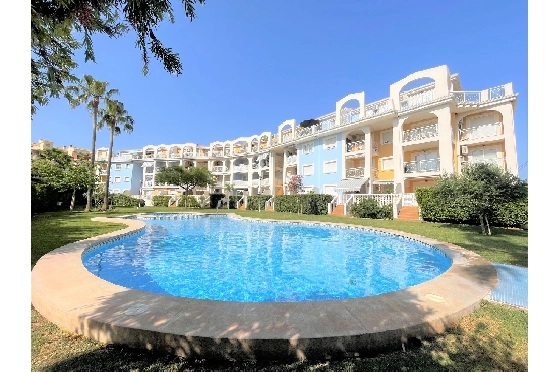 Apartment in Denia(Las Marinas) zur Ferienvermietung, Woongedeelte 90 m², Bouwjaar 2003, Zustand gepflegt, + Zentralheizung, Klimaanlage, 1 Slaapkamers, 1 Badkamers, Pool, ref.: T-0318-1