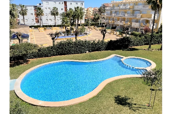 Apartment in Denia(Las Marinas) zur Ferienvermietung, Woongedeelte 90 m², Bouwjaar 2003, Zustand gepflegt, + Zentralheizung, Klimaanlage, 1 Slaapkamers, 1 Badkamers, Pool, ref.: T-0318-2
